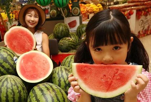 吃瓜网免费官网全球,全球热点一网打尽，畅享无界限的娱乐盛宴