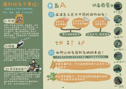 吃瓜大赛宣传词语,吃瓜大赛，全民狂欢，瓜香四溢！