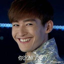 张翰大笑表情包