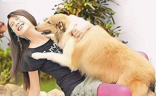 女主播直播与狗在线